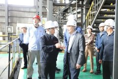 而若何采用分析从动化手艺保守财产、提